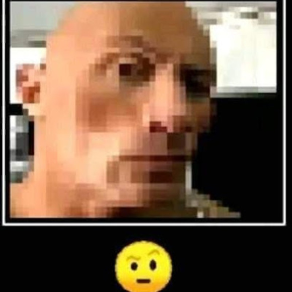 Meet your Posher, Lily - Picture 1 of 1